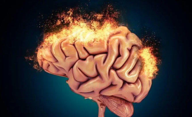 Германы эрдэмтэд Альцгеймерийн өвчний үед мэдрэлийн эсүүдийн үхжилтийг зогсоох бодисыг олжээ