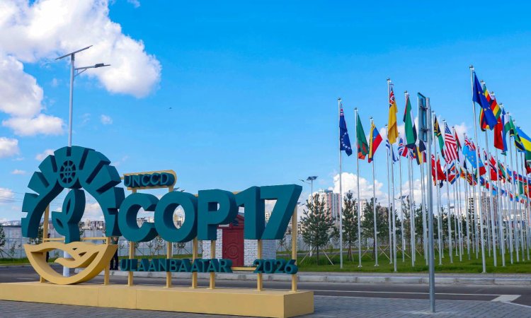 COP17 хурал “Усны өдөр”-өөр үргэлжиллээ