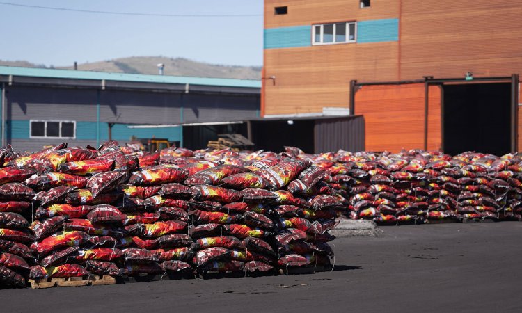 Энэ өвөл нийслэлд 430 мянган тонн шахмал түлшийг 446 цэгээр борлуулна